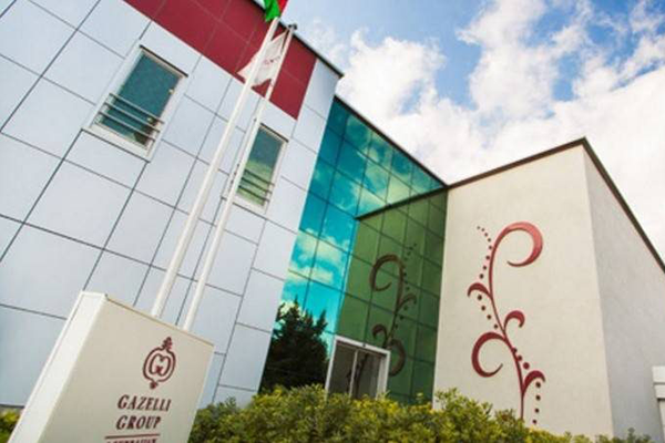 Gazelli Group MMC Evromontaj MMC